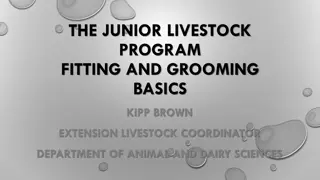 Livestock Clipping and Grooming Basics for Show Exhibitors