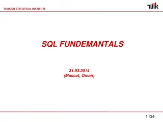 Turkish Statistical Institute SQL Fundamentals Overview