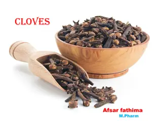 Health Benefits of Cloves: A Comprehensive Guide