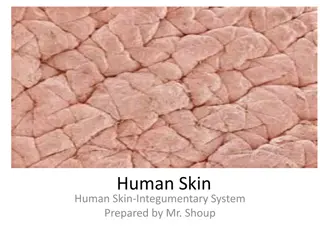 Fascinating Facts and Insights into Human Skin and Its Functions