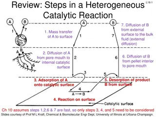 Heterogeneous Catalytic Reactions: Key Steps Explained