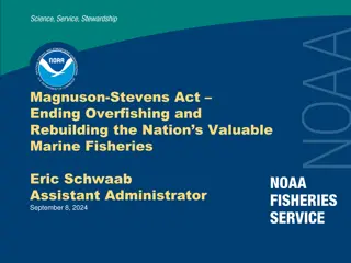 Magnuson-Stevens Act: Ending Overfishing and Rebuilding Marine Fisheries