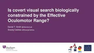 Covert Visual Search and Effective Oculomotor Range Constraints