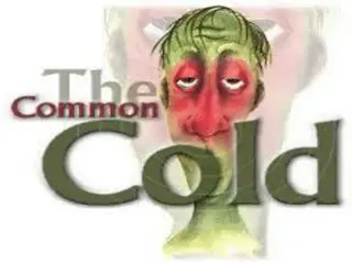 Common Cold: Symptoms, Differentiation from Flu, and Treatment