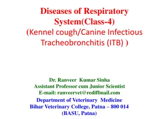 Kennel Cough: Contagious Canine Respiratory Disease Overview