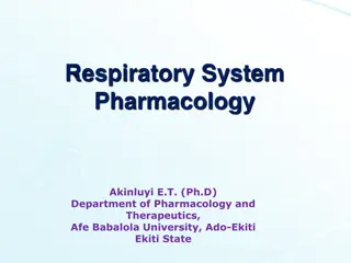 Respiratory System Pharmacology and Cough Physiology