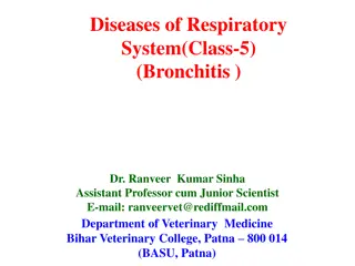 Respiratory Diseases in Dogs: Bronchitis Overview and Management