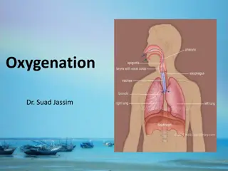 Oxygenation and Respiratory System Function