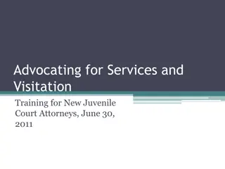 Treatment Plans for Juvenile Court Attorneys