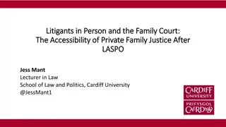 Challenges of Litigants in Person in Family Court Proceedings