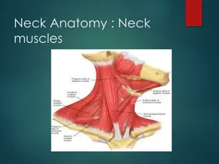 Neck Swellings and Cysts