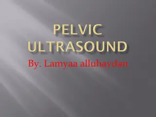 Pelvic Ultrasonography: A Comprehensive Guide