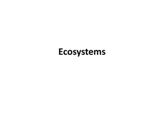 Diverse Ecosystems through Visuals