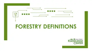 Essential Forestry Definitions and Concepts