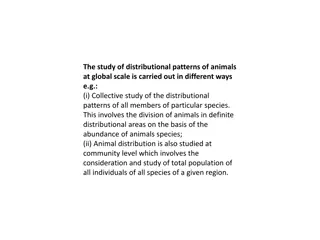 Global Animal Distribution Patterns