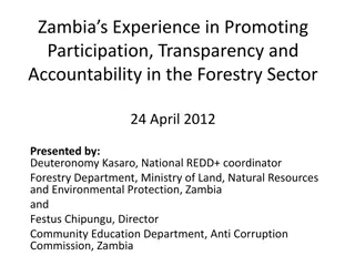 Enhancing Transparency and Accountability in Zambia's Forestry Sector