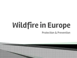 Understanding Wildfires in Europe: Protection and Prevention