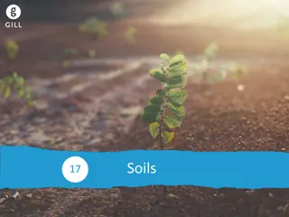 Soil Composition and Importance