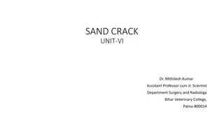 Sand Crack in Cattle Hooves: Causes, Signs, and Treatment