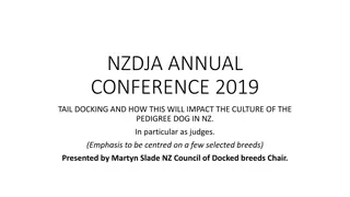 Impact of Tail Docking on Pedigree Dog Culture in NZ: Focus on Judging Selected Breeds