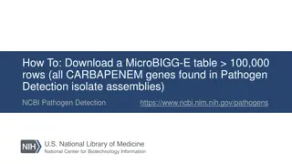 How to Download a MicroBIGG-E Table with >100,000 Rows from NCBI Pathogen Detection