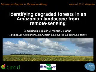 Remote Sensing Methods for Identifying Degraded Forests in the Amazon