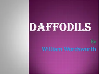 Analysis of Wordsworth's Poem 'Daffodils': Nature and Solitude