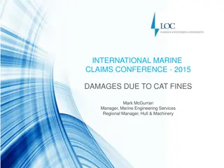 Cat Fines in Marine Fuel Oil Contamination