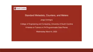 Standard Metadata, Counters, and Meters in P4 Programmable Data Planes