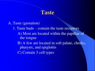 Taste: Gustation and Taste Receptors