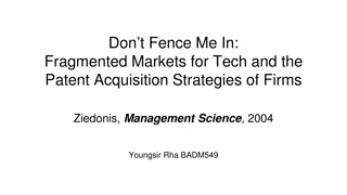 Patenting Strategies in Fragmented Tech Markets