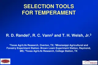 Cattle Temperament: Implications for Producers