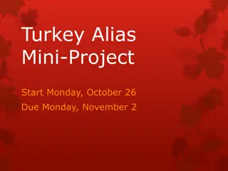 Turkey Alias Mini-Project: Disguise and Decoration Challenge