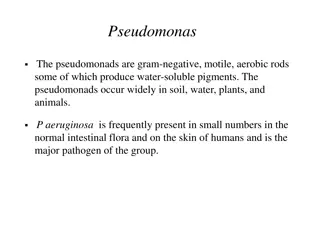 Pseudomonas and Proteus Bacteria