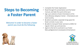 Become a Foster Parent for AAWL: Steps and Requirements