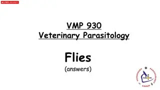 Veterinary Parasitology Flies: Identification and Pathologies