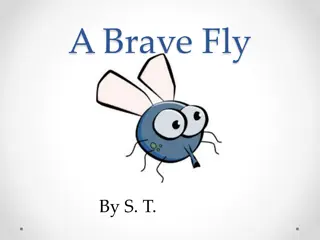 The Brave Journey of Ted the Fly