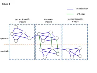 Comparative Genomics Analysis of Co-Association Networks in Species A and B