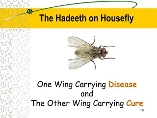 Scientific Study on Houseflies and Disease Prevention