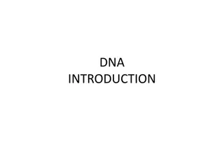 DNA: A Journey from Friedrich Miescher to Genes and Function