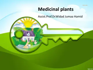 The Fascinating World of Medicinal Plants Through History