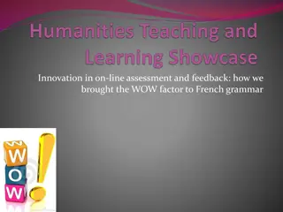 Enhancing French Grammar Learning through Innovative Online Assessment and Feedback