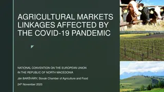 Impact of COVID-19 on Agricultural Markets and Supply Chains in North Macedonia