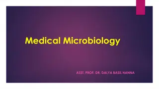 Understanding Brucellae: Characteristics and Infection Routes