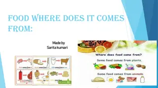 Food Sources: Plants and Animals Explained