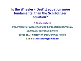 Fundamental Comparison: Wheeler-DeWitt vs. Schrödinger Equation