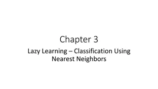 Lazy Learning Classification Using Nearest Neighbors