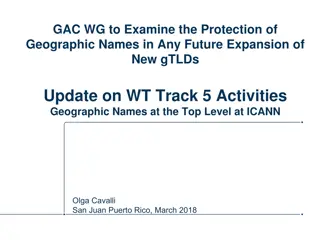 GAC Working Group on Geographic Names Protection in New gTLD Expansion