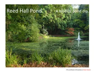 Biodiversity at Reed Hall Pond: A Fascinating Study