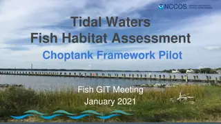 Tidal Waters Fish Habitat Assessment Choptank Framework Pilot Fish GIT Meeting January 2021